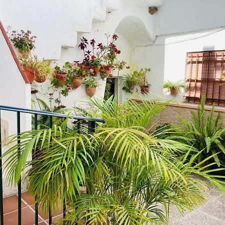 Apartamento Conil Centro 科尼尔-德拉弗龙特拉 外观 照片
