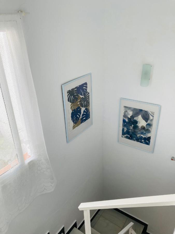 Apartamento Conil Centro 科尼尔-德拉弗龙特拉 外观 照片