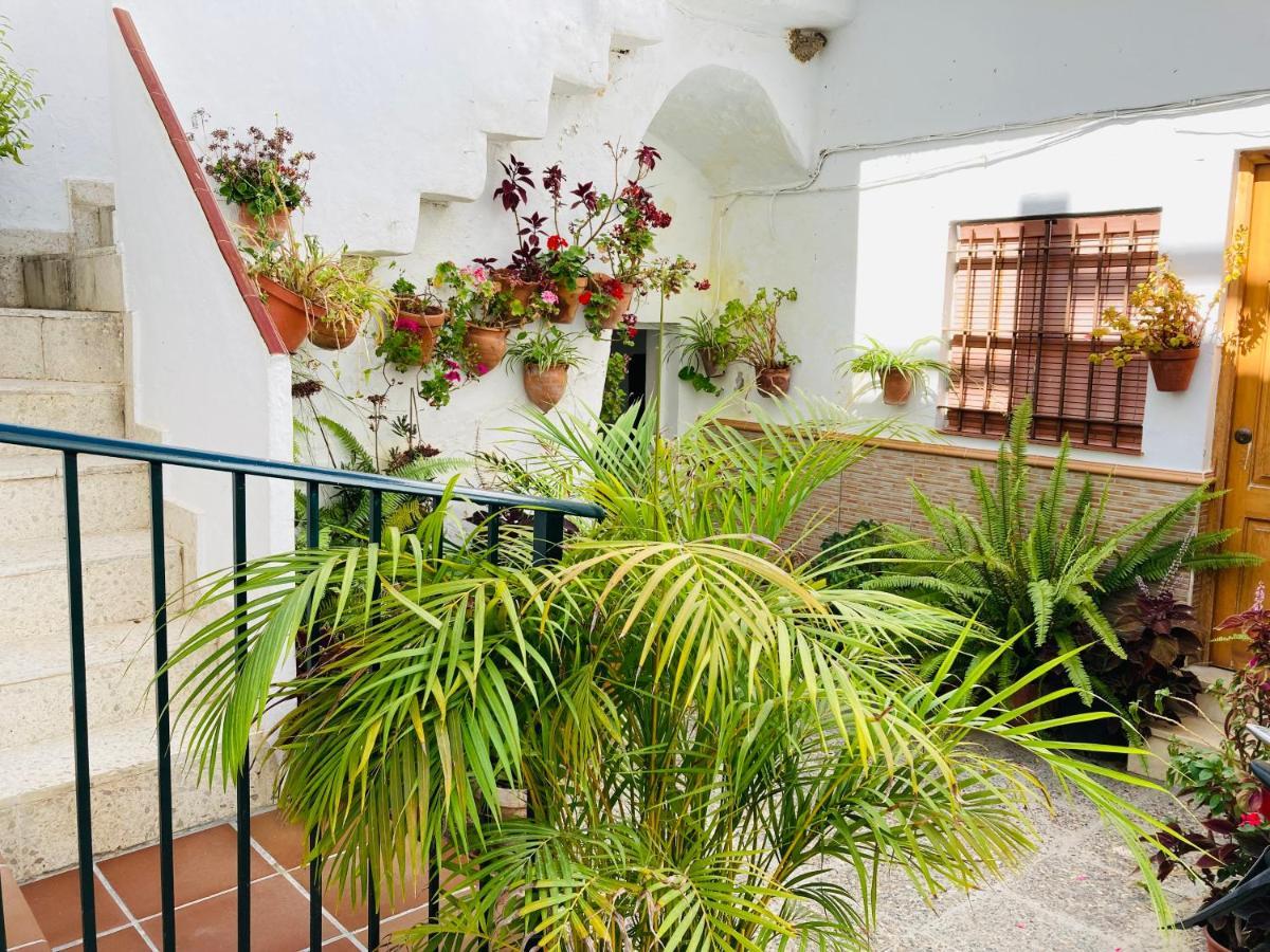 Apartamento Conil Centro 科尼尔-德拉弗龙特拉 外观 照片